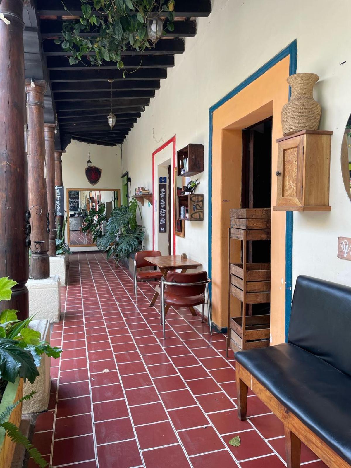 Volko Party Hostel Antigua Εξωτερικό φωτογραφία